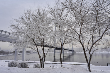 Similar image 21495817