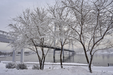 Similar image 21495822