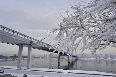 Similar image 21495828