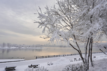 Similar image 21496229