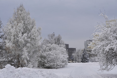 Similar image 21496233