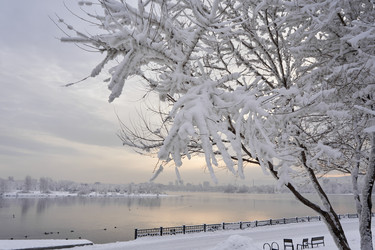 Similar image 21496234