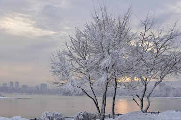 Similar image 21496235