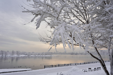 Similar image 21496236