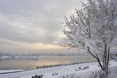 Similar image 21496237