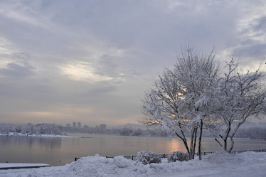 Similar image 21496240