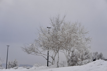 Similar image 21496243