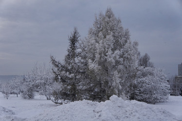 Similar image 21496246