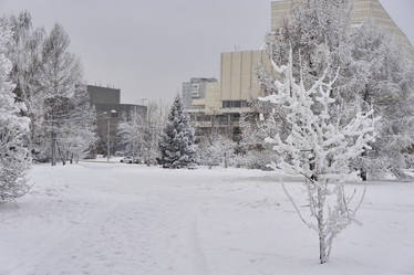 Similar image 21496249