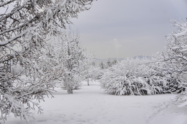 Similar image 21496250