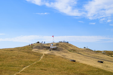 Similar image 21488307