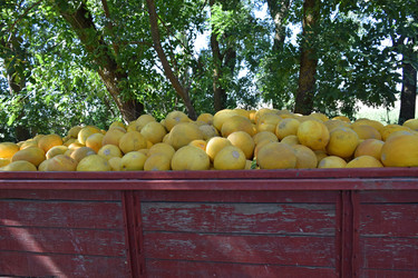 Similar image 21488317