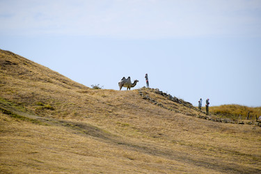 Similar image 21487830