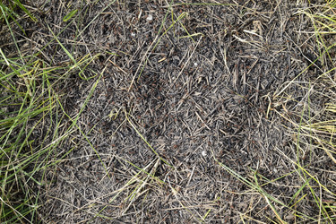 Similar image 21488321