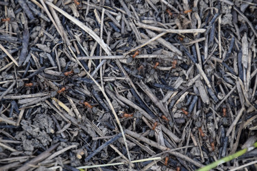 Similar image 21488323