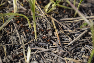 Similar image 21488325