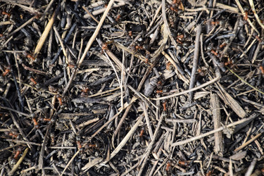 Similar image 21488329