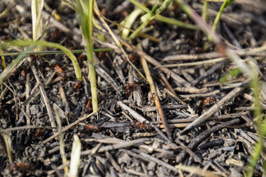 Similar image 21488333