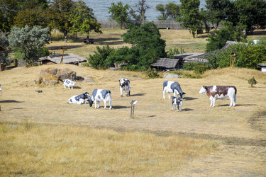 Similar image 21488334