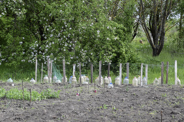 Similar image 21488335