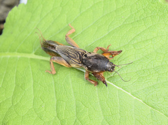 Similar image 21488339