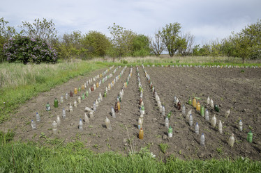 Similar image 21488341