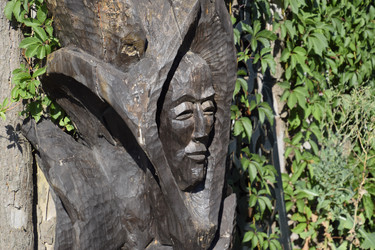 Similar image 21488349