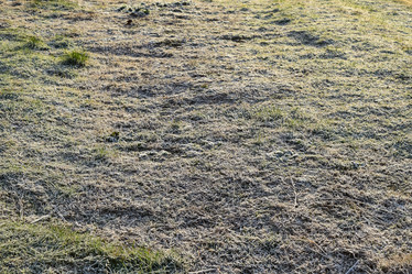 Similar image 21488360