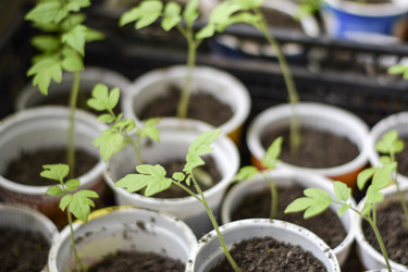 Similar image 21488361