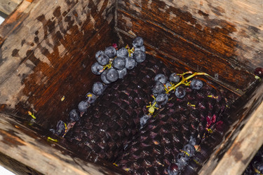 Similar image 21486682