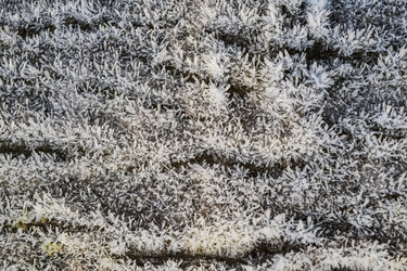 Similar image 21486695