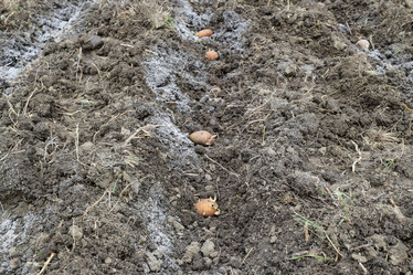 Similar image 21487851