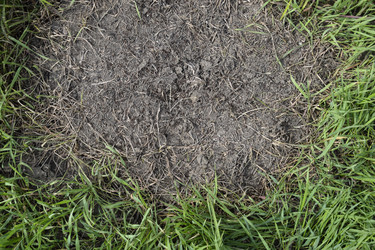 Similar image 21487865