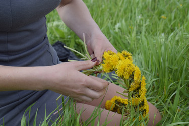 Similar image 21486717