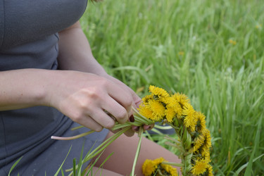 Similar image 21486720