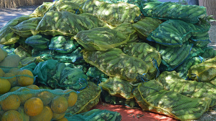 Similar image 21486730