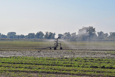 Similar image 21488394