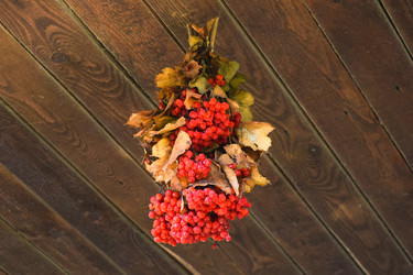 Similar image 21487867