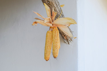 Similar image 21488441