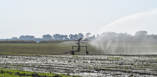 Similar image 21488461