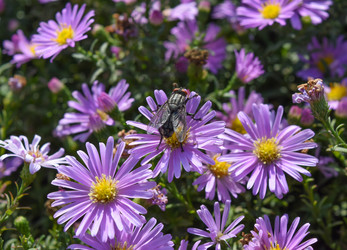 Similar image 21488468