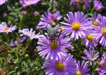 Similar image 21488470