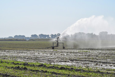 Similar image 21488479