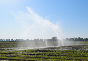 Similar image 21488482