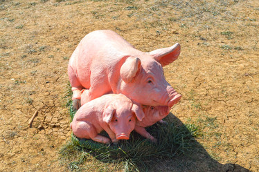 Similar image 21488485