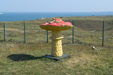 Similar image 21488508