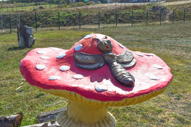 Similar image 21488509