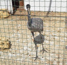 Similar image 21486743