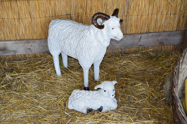 Similar image 21486750