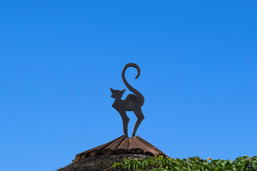 Similar image 21486751